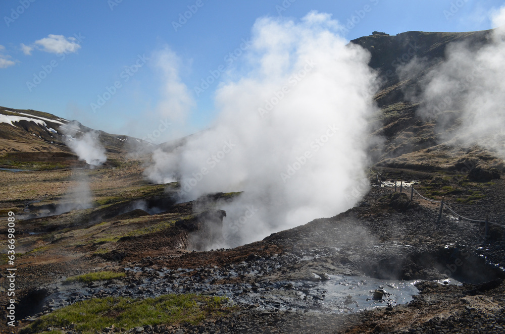 Steam Rising from Geothermal Activity in Iceland