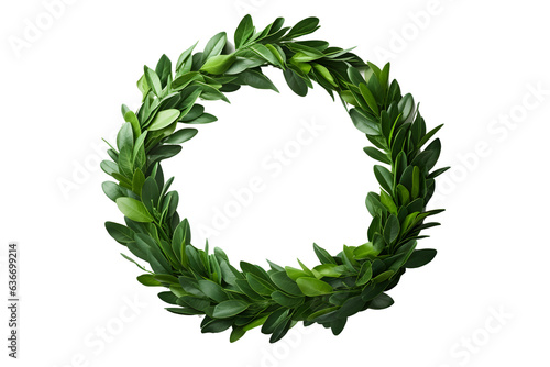 Laurel wreath created from fresh branches of bay leaves isolated on a transparent background.