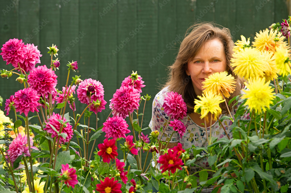 Hiding behind the Dahlia Flowers. Hiding behind the Dahlia Flowers.