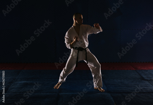 Karate pose © qunica.com