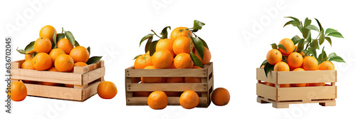 Mandarin tangerine packaged in wooden crate on a transparent background