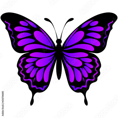 Colorful purple and pink butterfly isolated on white background