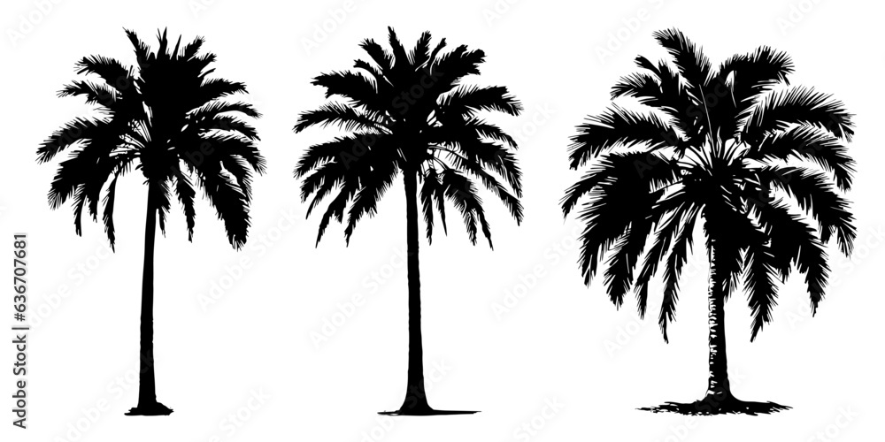 Coconut Palm Tree Silhouette Illustration, Tropical Elegance Element