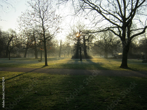 early foggy morning in the park