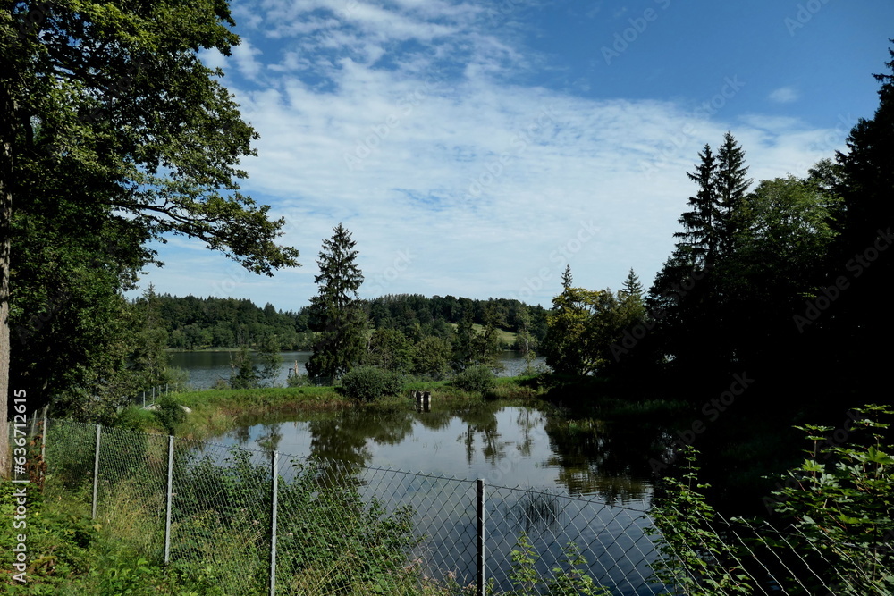 Obraz premium Fischteich am Staffelsee