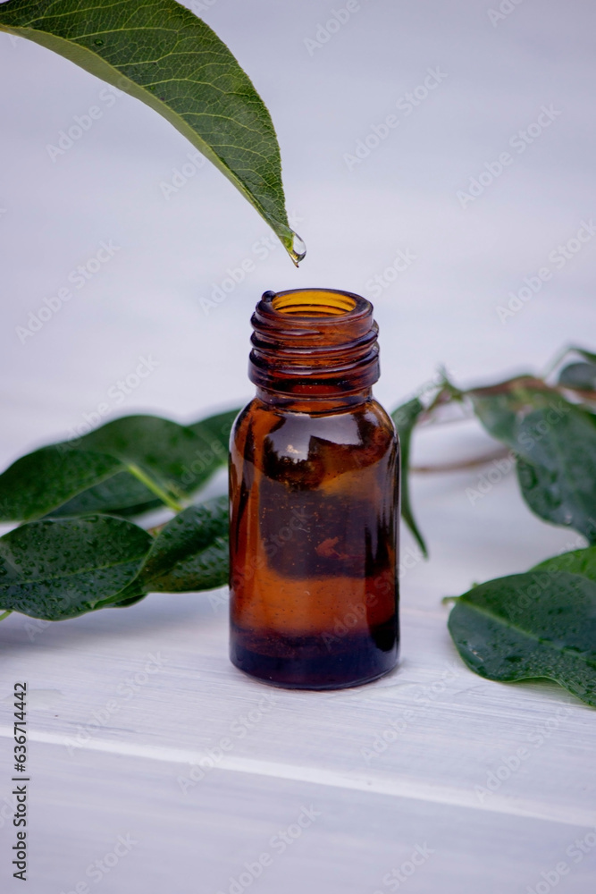 herbal essential oil in a small bottle. Selective focus. herbal essential oil in a small bottle. Selective focus.