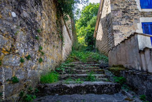 Escalier de pierre dans la ville de Joinville allant vers un chemin végétal