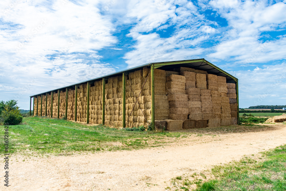 Hangar ouvert après la récolte de ballots de paille en été Hangar ouvert après la récolte de ballots de paille en été