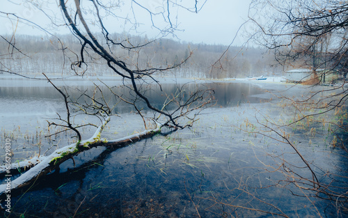 Jezioro Przywidz, Pomorskie