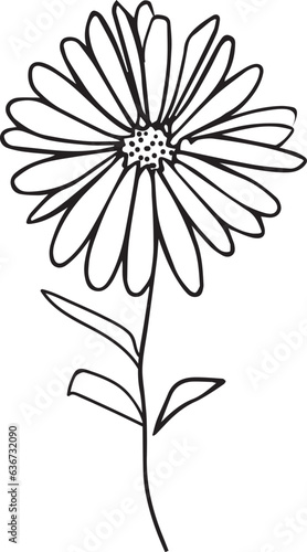 Fototapeta Naklejka Na Ścianę i Meble -  small minimalist aster flower tattoo, September birth flower tattoo, aster wall art, aster flower vector art, aster flower line drawing