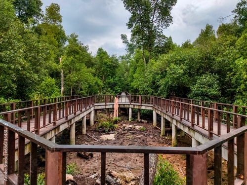 Inviting wooden pathway in a tranquil and lush mangrove forest in Klang Selangor, Malaysia