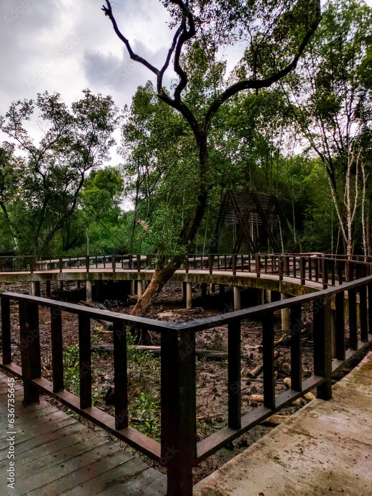 Obraz premium Scenic view of a mangrove forest in Klang Selangor, Malaysia