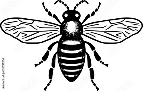 Bee | Black and White Vector illustration