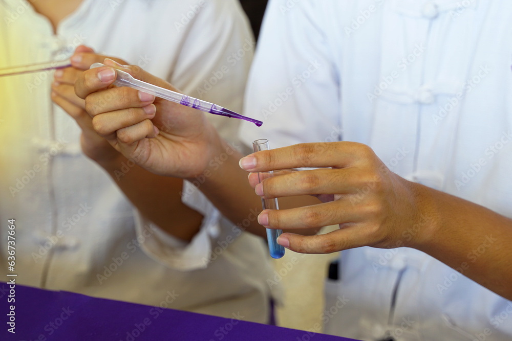 Asian students doing science experiments on chemical reactions of substances Students drop a purple solution into a test tube containing a clear solution to change it to blue. Asian students doing science experiments on chemical reactions of substances Students drop a purple solution into a test tube containing a clear solution to change it to blue.
