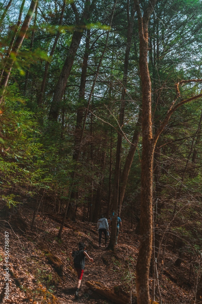 Group of people walking along a narrow dirt path in a dense forest Group of people walking along a narrow dirt path in a dense forest