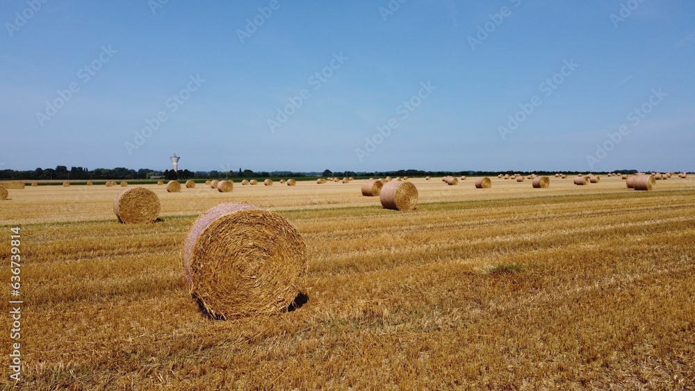 Idyllic rural scene featuring large bales of hay sitting in a field on a sunny day in France