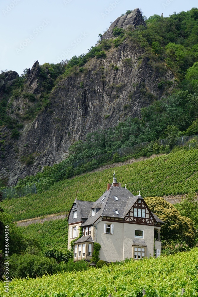 a house on top of a hill in a green landscape a house on top of a hill in a green landscape