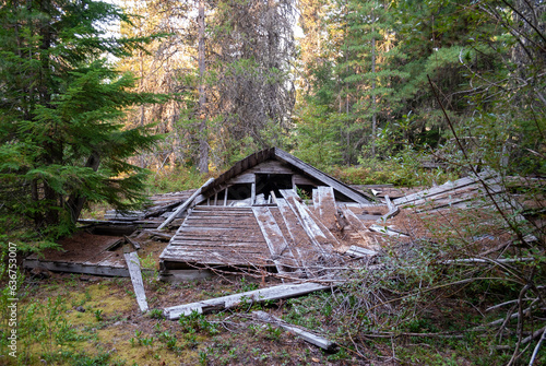 Parkhurst a former logging community near present day Whistler BC. Now abandoned and returning to nature. photo