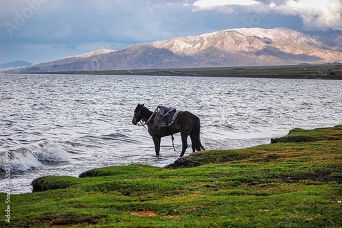 Brown horse standing at the green grassy shore in body of water with majestic hills in the backdrop