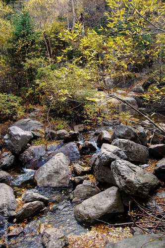 a stream surrounded by rocks and fallen leaves in the woods