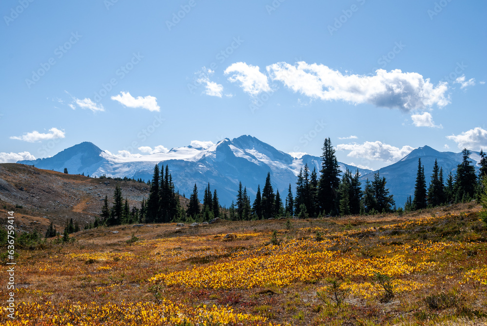 Stunning mountain and alpine vistas on Whistler and Blackcomb mountains. Part of Garibaldi Provincial Park in British Columbia Canada