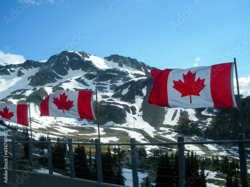 Stunning mountain and alpine vistas on Whistler and Blackcomb mountains. Part of Garibaldi Provincial Park in British Columbia Canada