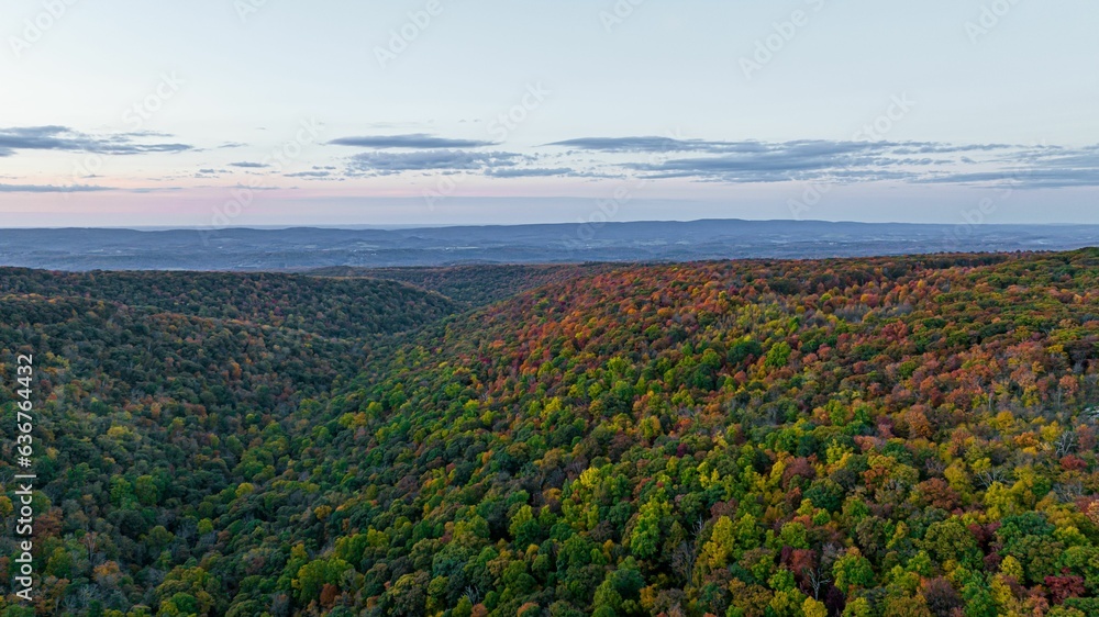 High-angle view of a beautiful dense colorful forest during the fall season
