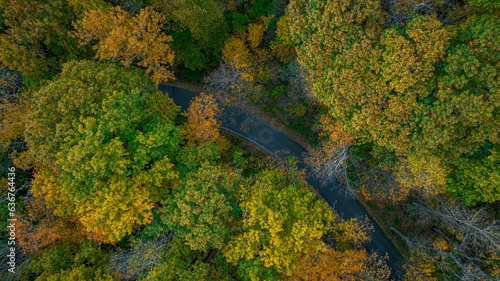 Aerial top-view of a beautiful autumn foliage in the mountains