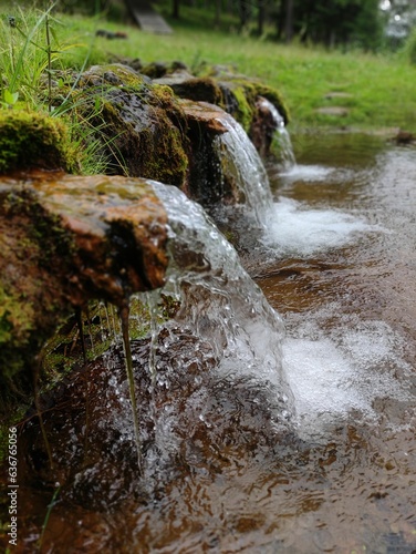 stream in the forest