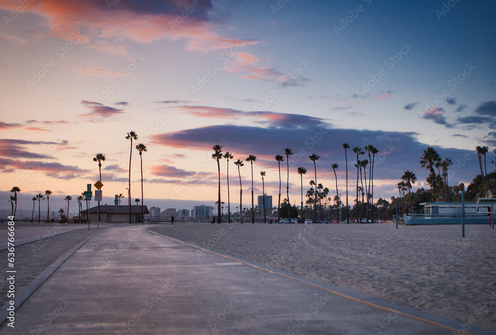 Photo of a stunning sunset over a palm-lined beach in Los Angeles, California