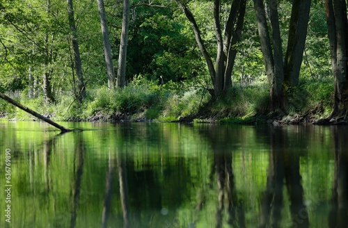 Beautiful shot of the tranquil Drawa River in a lush forest in Poland © Magda Panek/Wirestock Creators