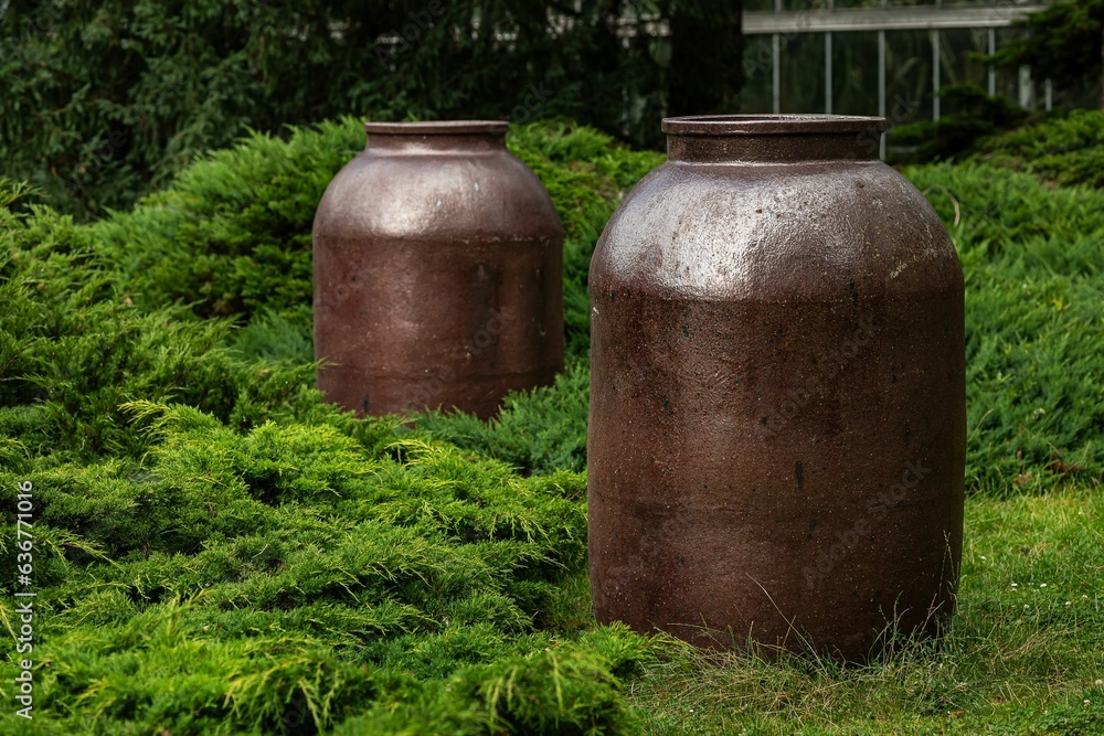 Large brown jug structures in the lush Palm House in Poznan, Poland Large brown jug structures in the lush Palm House in Poznan, Poland