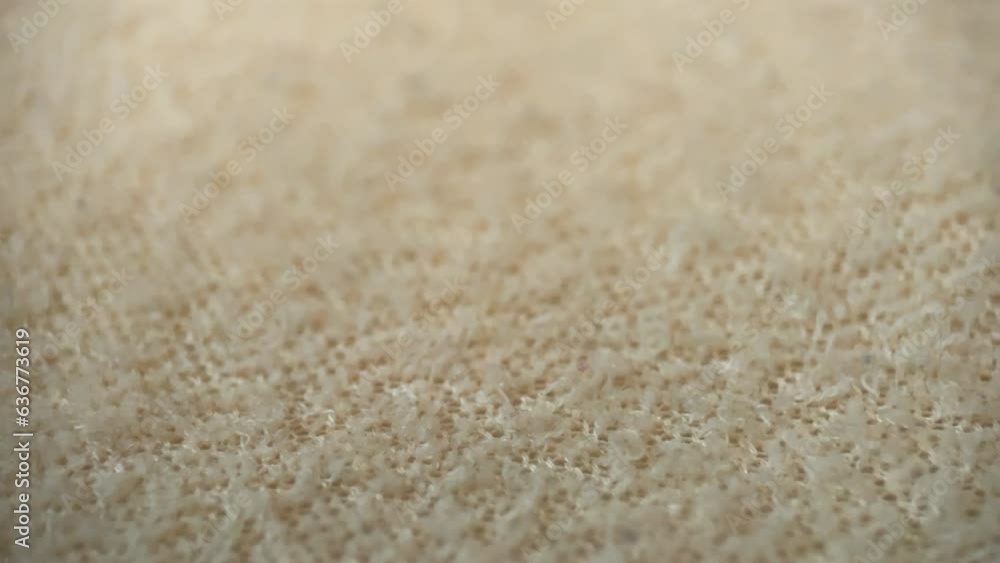 Macro Wool Texture Carpet, Slider Shot Macro Wool Texture Carpet, Slider Shot