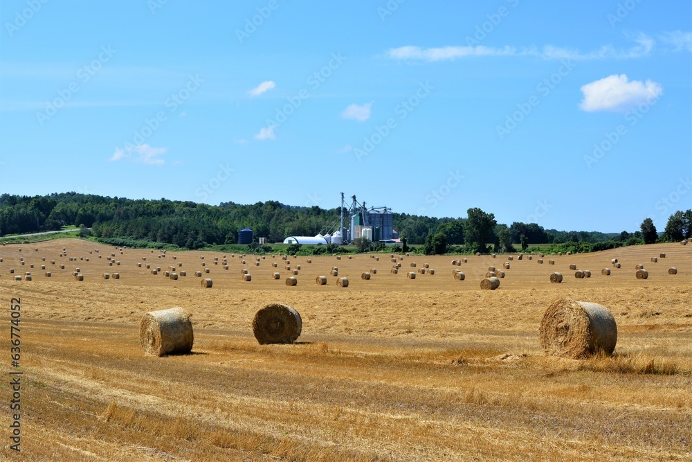 Rural property with a field of freshly baled hay.
