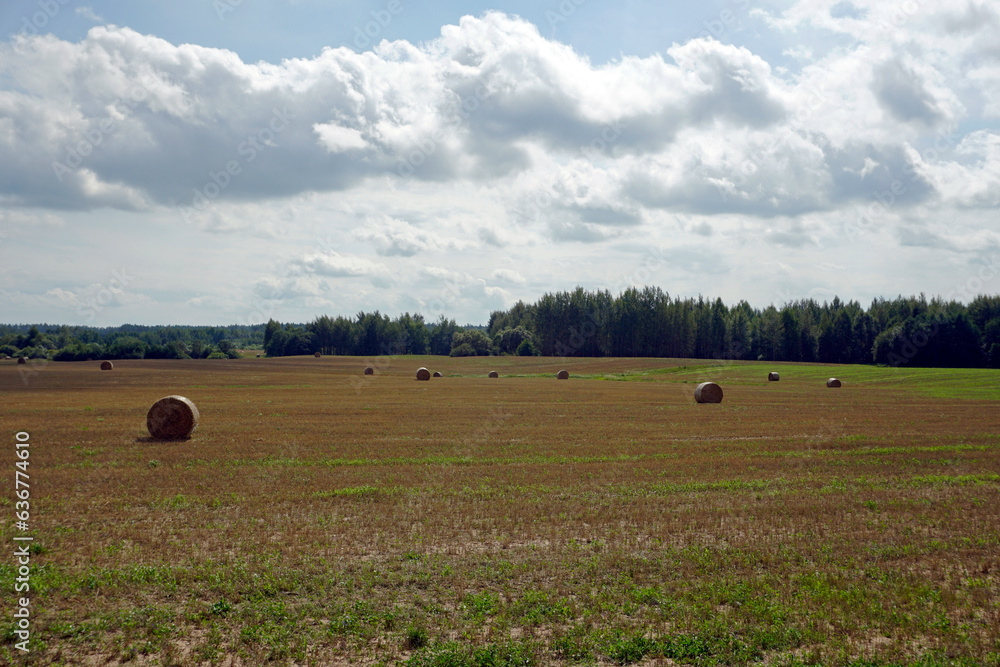 Sultry summer day. Harvested field and bales of straw. Horizon and clouds, forest and blue sky.
