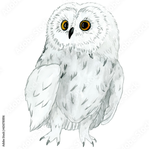 Watercolour - vector 4. Hand drawn bird owl-1.