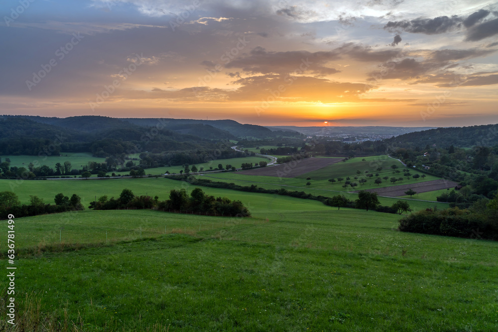 Fototapeta premium Leonberg Sonnenuntergang