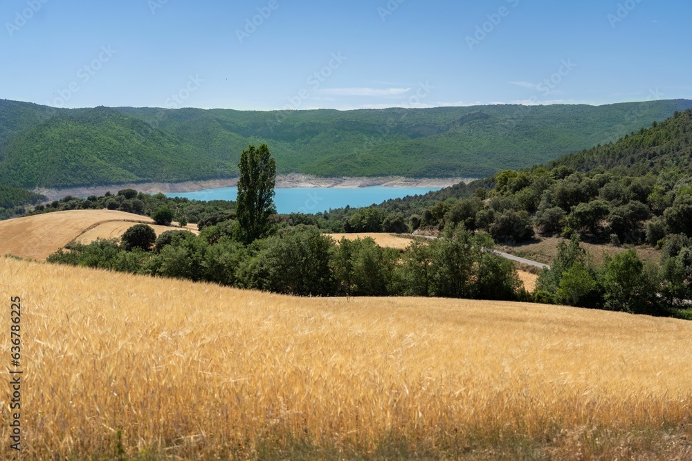 Aerial view of a dry rural field near a blue lake and green cliffs in Montsec, France