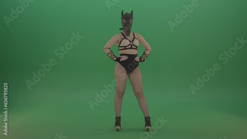 Erotic girl in wolf dog sexy fetish mask posing on green screen photo