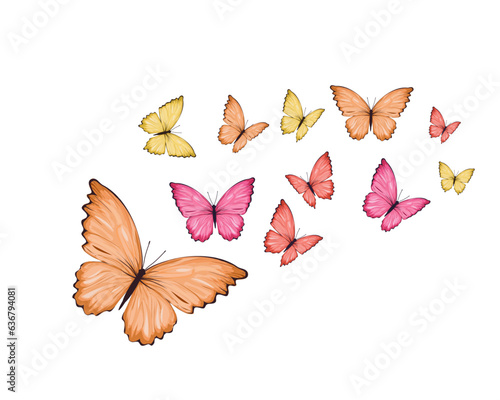 colorful set of butterflies watercolorhand drawn photo