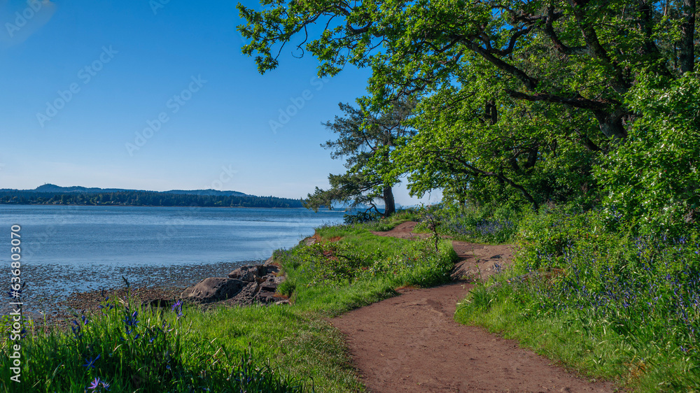 a scenic trail along the ocean with a dirt path, rocks, and wildflowers. The trail is bordered by trees and the ocean is visible on the left side with a distant shoreline. The sky is blue and clear a scenic trail along the ocean with a dirt path, rocks, and wildflowers. The trail is bordered by trees and the ocean is visible on the left side with a distant shoreline. The sky is blue and clear