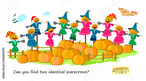 Logic puzzle for children and adults. Can you find two identical scarecrows? Page for kids brain teaser book. Task for attentiveness.  IQ test. Play online. Vector cartoon illustration.