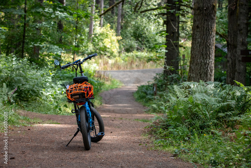 Folding eBike on Forest Trail