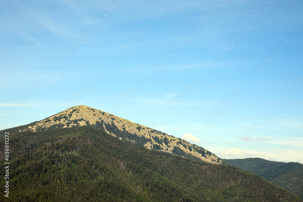 Mountain peak with forest in Carpathians, Ukraine