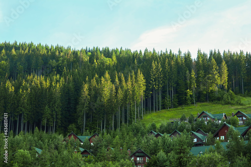 Mountain landscape with for...