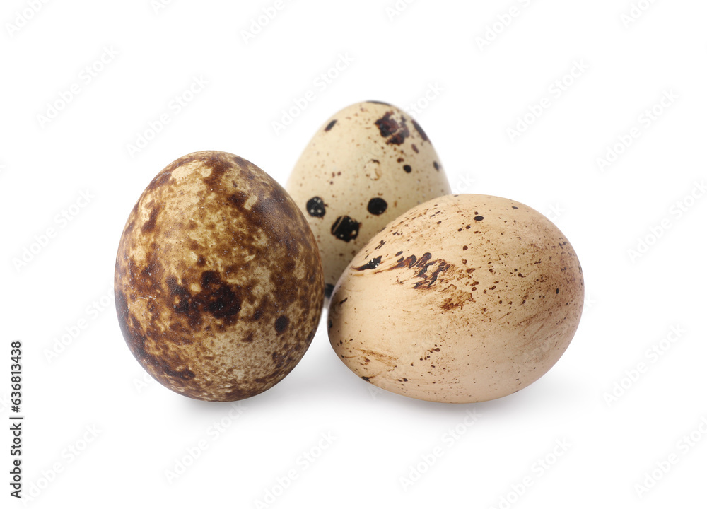 Obraz premium Beautiful speckled quail eggs on white background