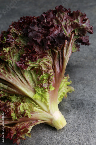 Head of fresh red coral lettuce on grey table, closeup