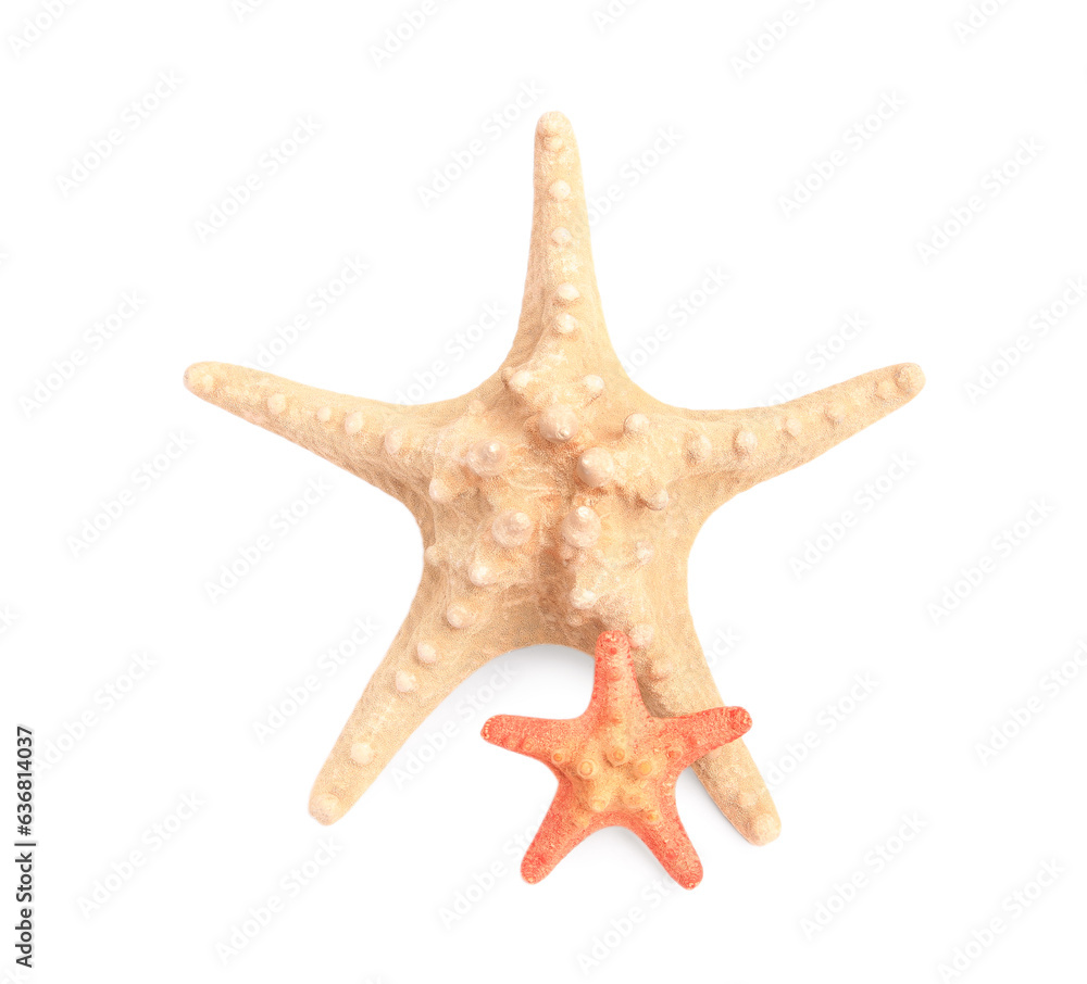 Beautiful sea stars (starfish) isolated on white, top view Beautiful sea stars (starfish) isolated on white, top view