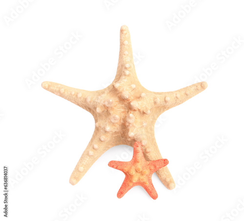 Beautiful sea stars (starfish) isolated on white, top view