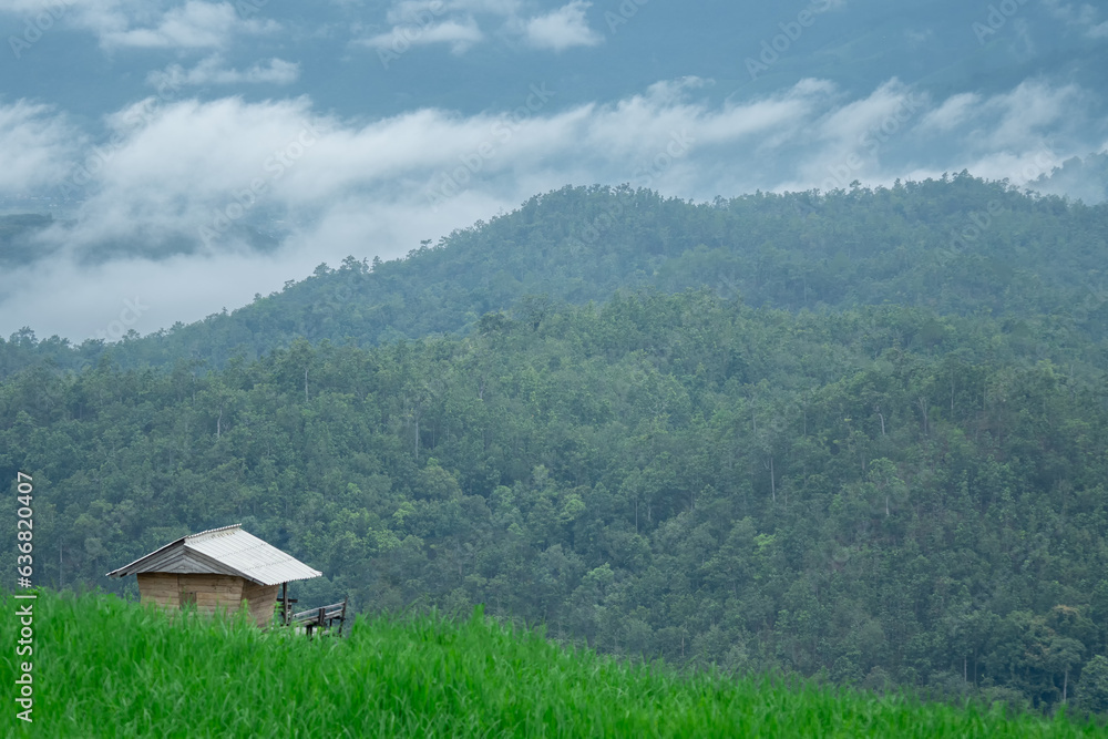 Beautiful mountain landscape in morning sunlight and rainy season fog at Doi Inthanon. Mae Chaem Nai District Chiang Mai, Thailand.